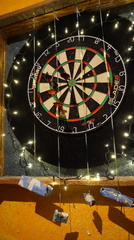 Darts 2024 248